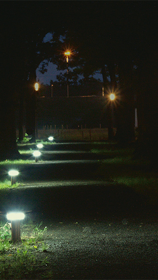 ممر للمشي في مجمع High Tech Campus مُضاء باستخدام إضاءات الأماكن المفتوحة من Philips لزيادة الأمان في الليل